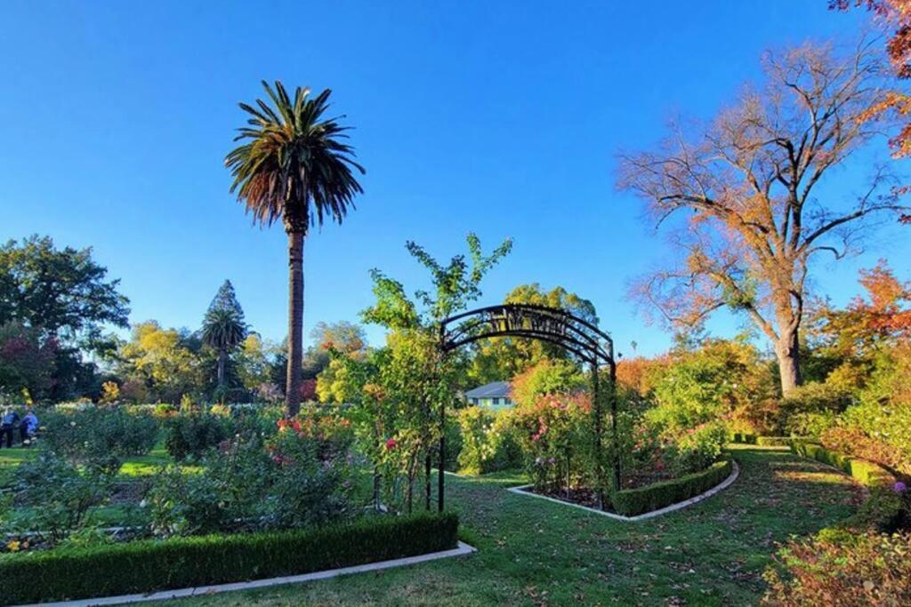 Artist'S Retreat Near The Heart Of The City ساكرامنتو المظهر الخارجي الصورة